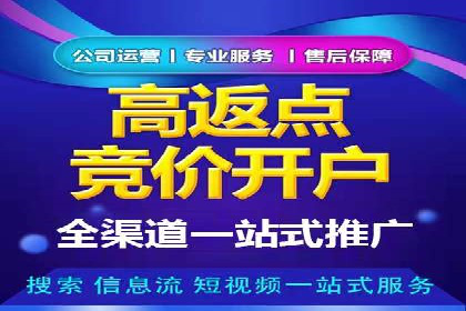 案例分析：百度广告竞价助力电商企业提升销售额